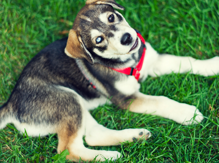 手机号网页在线轰炸源码