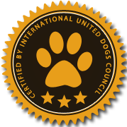 在线短信轰炸工具